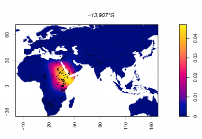 Geographic distribution of -13,907*G variant