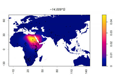 Geographic distribution of -14,009*G variant